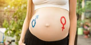 edm2025.milaulas.com